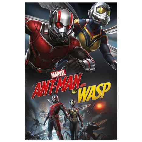 Ant-Man And The Wasp Dynamic Duo Maxi Poster £4.99